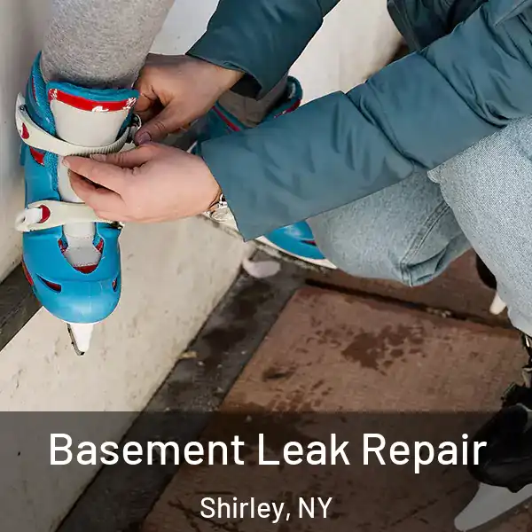  Basement Leak Repair Shirley, NY