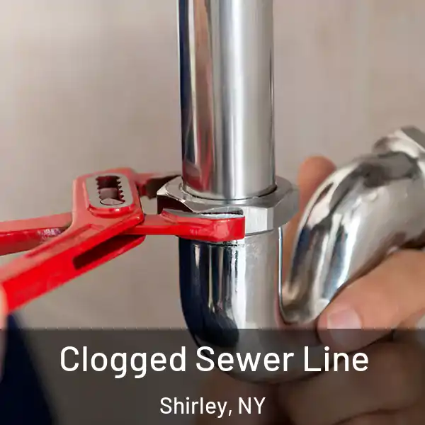  Clogged Sewer Line Shirley, NY