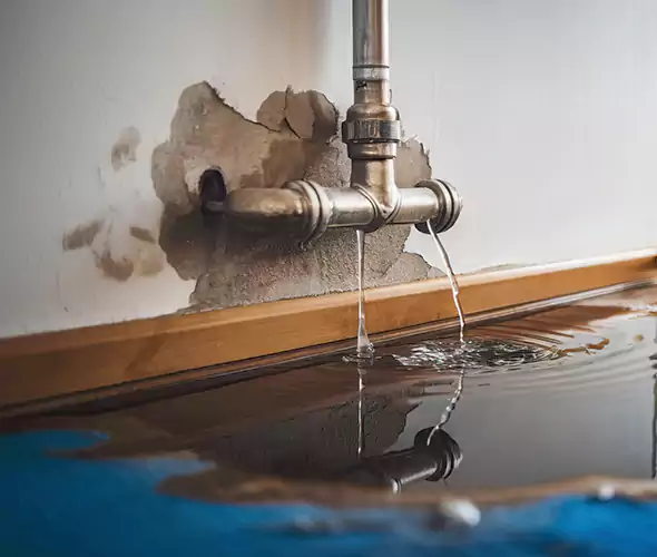 Professional Water Damage Restoration Experts in Shirley, NY — Fast, Reliable & Certified