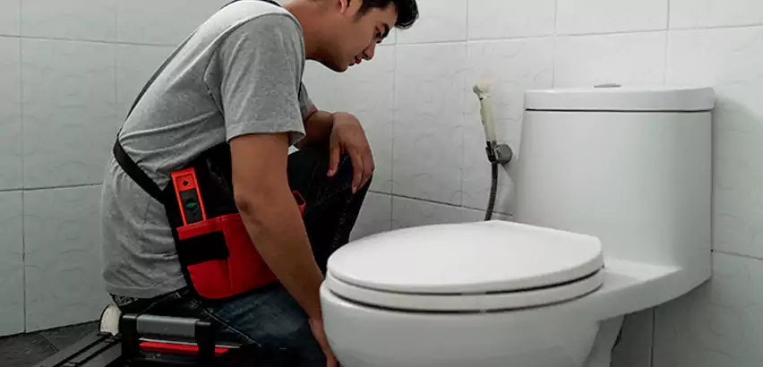 Toilet Repair in Shirley