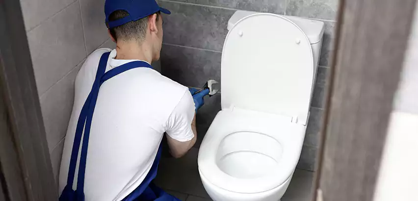 Toilet Lid Replacement in Shirley
