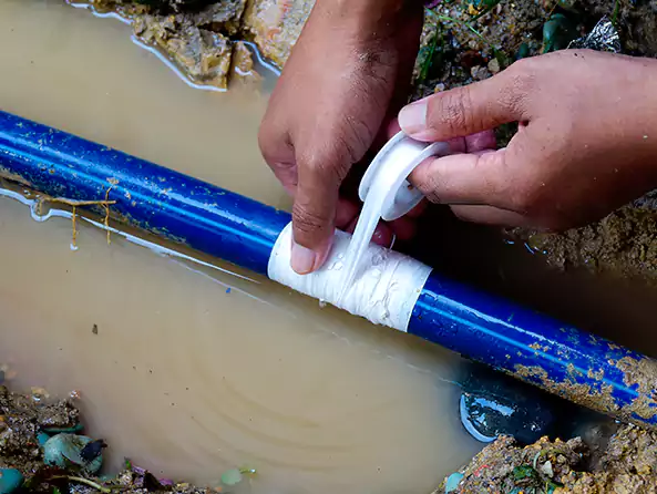  Why Choose Shirley Plumbing Pro for Leak Detection in Shirley, NY?]