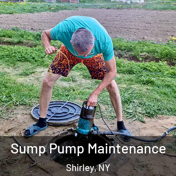  Sump Pump Maintenance Shirley, NY