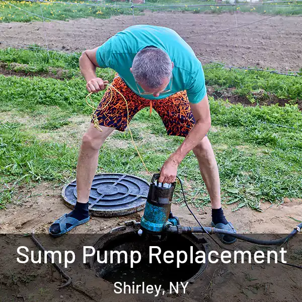  Sump Pump Replacement Shirley, NY