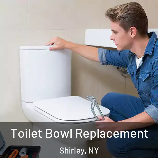  Toilet Bowl Replacement Shirley, NY