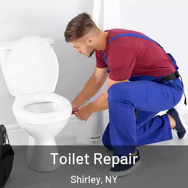  Toilet Repair Shirley, NY