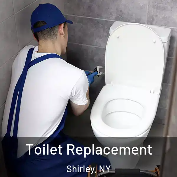 Toilet Replacement Shirley, NY