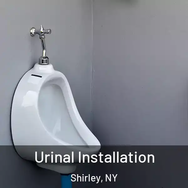  Urinal Installation Shirley, NY