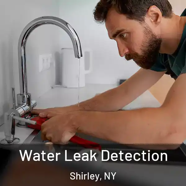  Water Leak Detection Shirley, NY